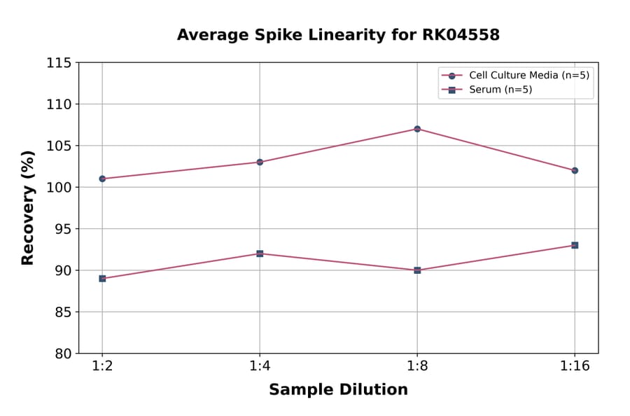 Standard Curve - Human CD69 ELISA Kit (A330003) - Antibodies.com