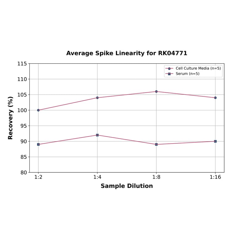 Standard Curve - Human CD80 ELISA Kit (A330005) - Antibodies.com