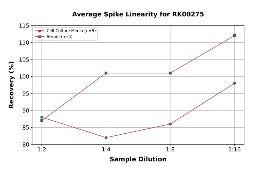 Standard Curve - Human CLCN4 ELISA Kit (A330008) - Antibodies.com