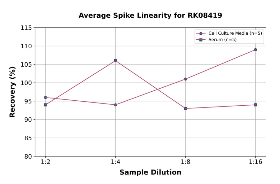 Standard Curve - Mouse CXCL13 ELISA Kit (A330010) - Antibodies.com