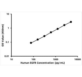 Standard Curve - Human EGFR ELISA Kit (A330012) - Antibodies.com