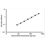 Standard Curve - Human EGFR ELISA Kit (A330012) - Antibodies.com