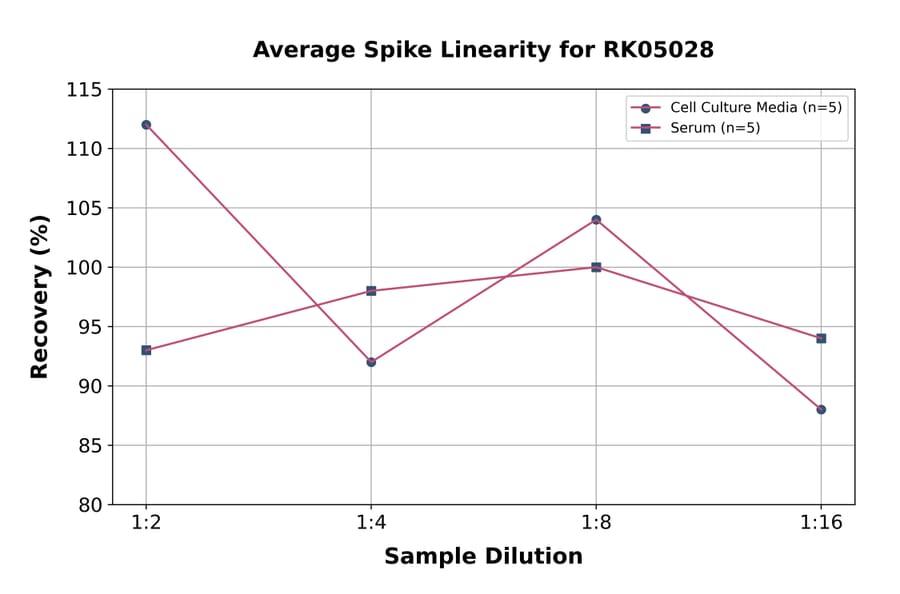 Standard Curve - Human FAP ELISA Kit (A330013) - Antibodies.com