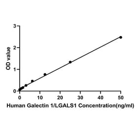 Standard Curve - Human Galectin 1 ELISA Kit (A330015) - Antibodies.com