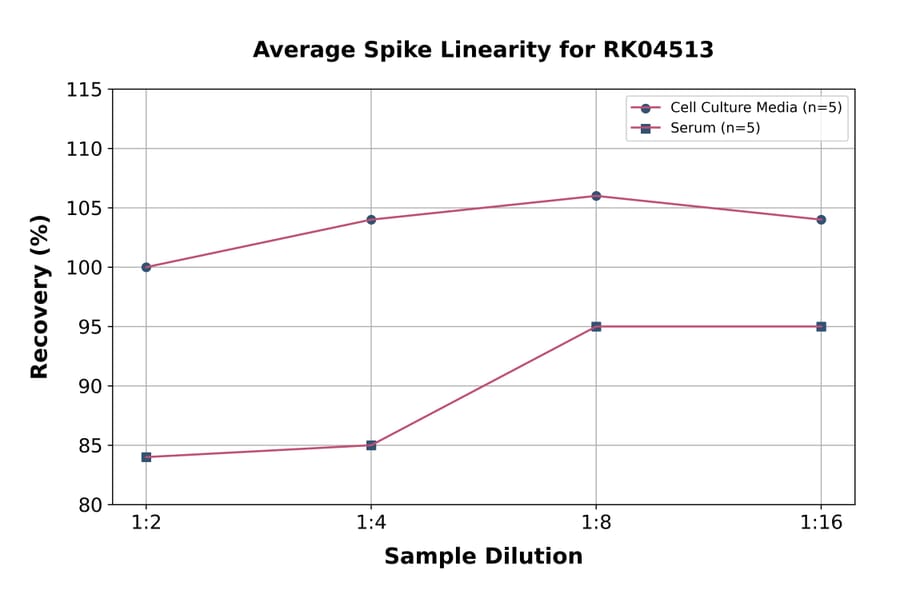 Standard Curve - Human HE4 ELISA Kit (A330017) - Antibodies.com