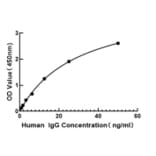 Standard Curve - Human IgG ELISA Kit (A330020) - Antibodies.com