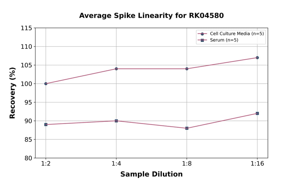 Standard Curve - Chicken IL-10 ELISA Kit (A330022) - Antibodies.com