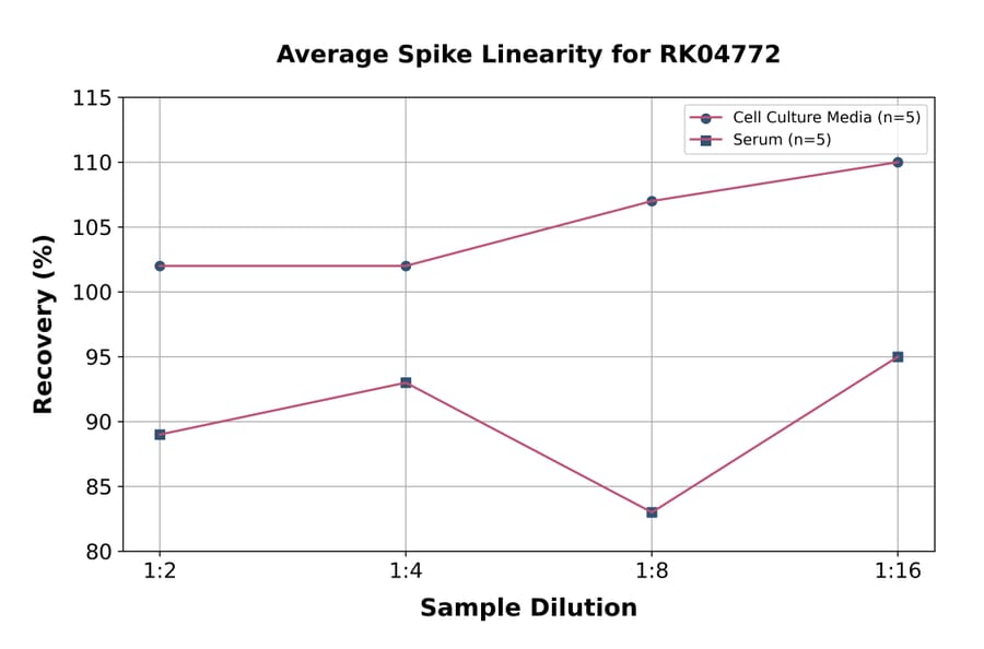 Standard Curve - Human IL-13 Receptor alpha 1 ELISA Kit (A330025) - Antibodies.com