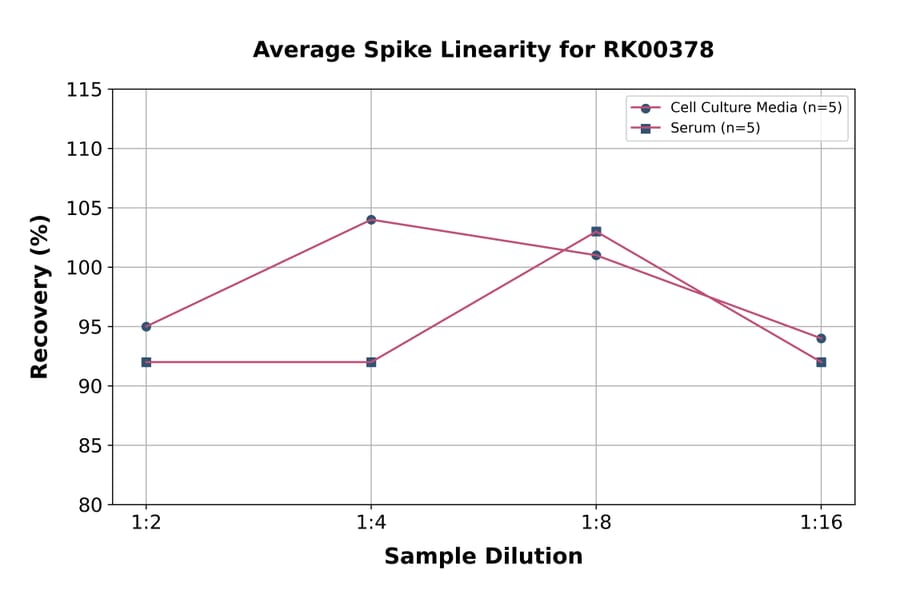 Standard Curve - Human IL-31 ELISA Kit (A330026) - Antibodies.com
