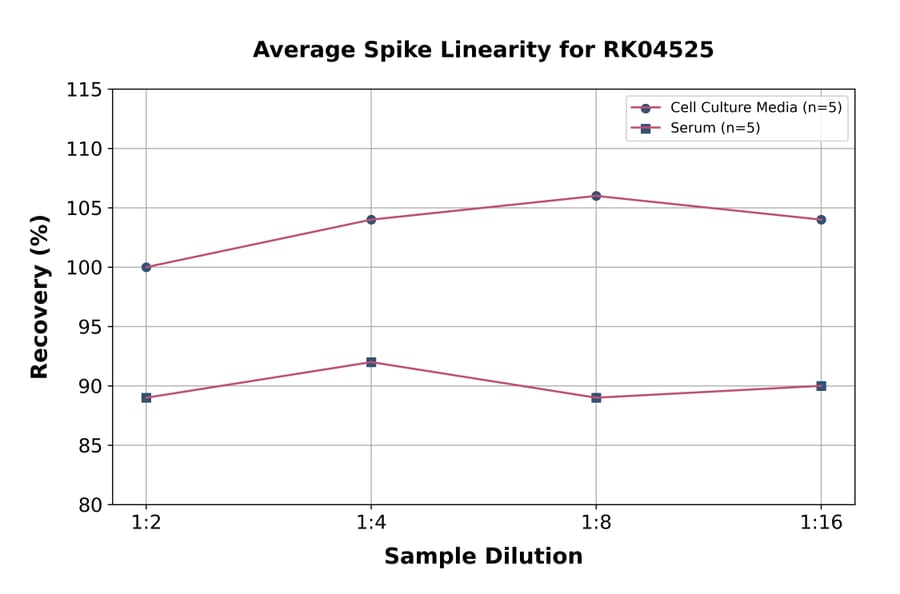 Standard Curve - Sheep IL-6 ELISA Kit (A330027) - Antibodies.com
