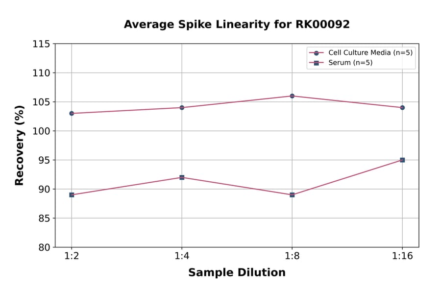 Standard Curve - Human Interferon-alpha ELISA Kit (A330029) - Antibodies.com