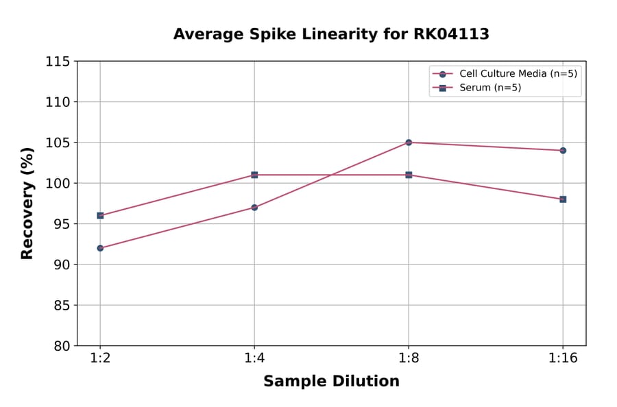 Standard Curve - Human Luteinizing Hormone beta ELISA Kit (A330031) - Antibodies.com