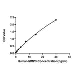 Standard Curve - Human MMP3 ELISA Kit (A330033) - Antibodies.com
