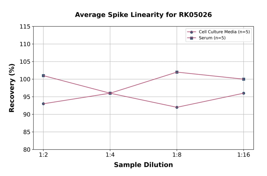 Standard Curve - Human MUC16 ELISA Kit (A330034) - Antibodies.com
