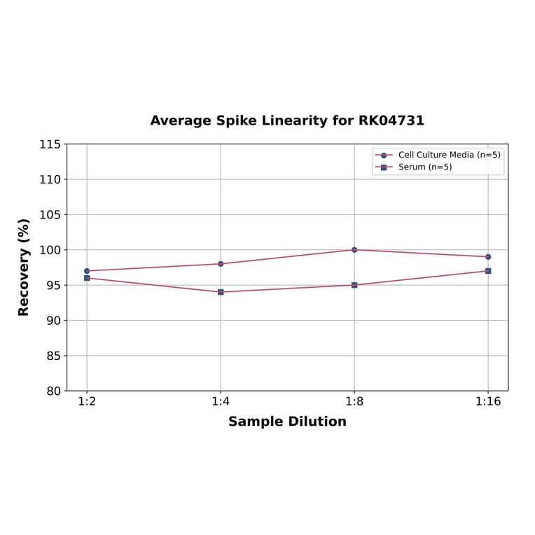 Standard Curve - Sheep TNF alpha ELISA Kit (A330046) - Antibodies.com