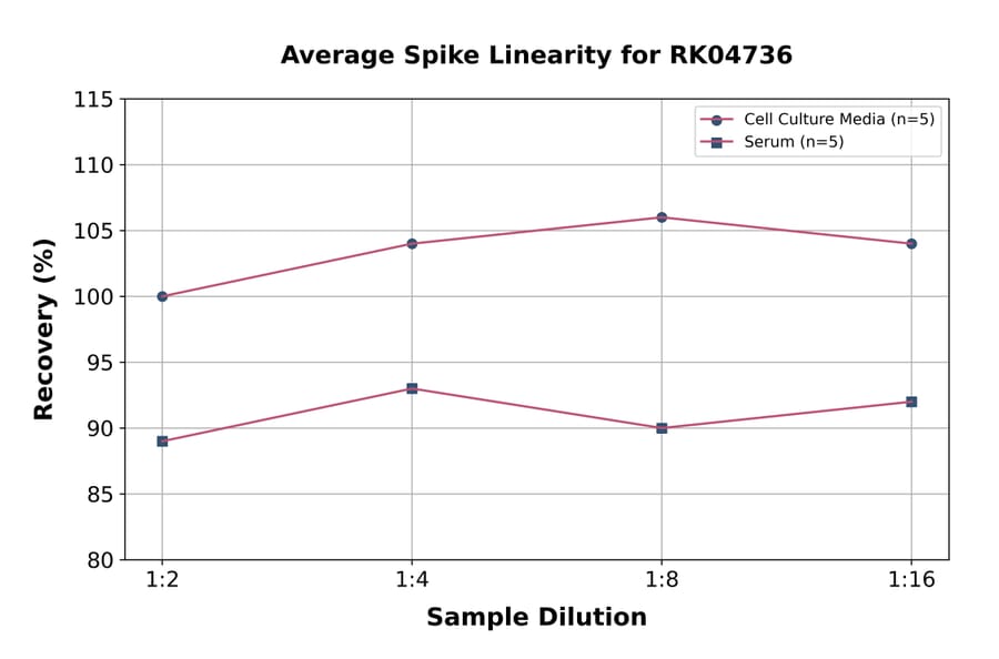 Standard Curve - Human uPAR ELISA Kit (A330049) - Antibodies.com