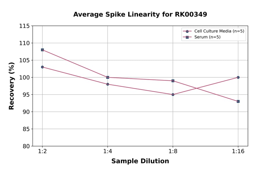 Standard Curve - Human VEGF Receptor 2 ELISA Kit (A330051) - Antibodies.com
