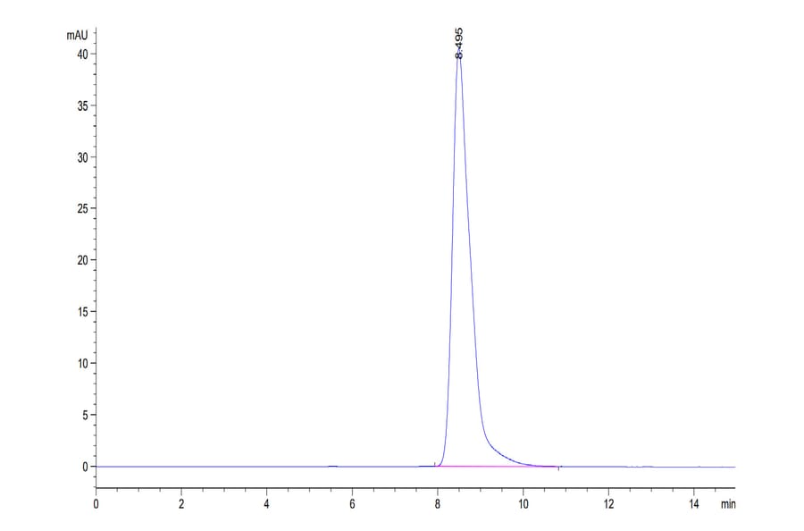 SEC-HPLC - Recombinant Human 4-1BBL Protein (Biotin) (N-terminal monomeric Human Fc Tag) (A330056) - Antibodies.com