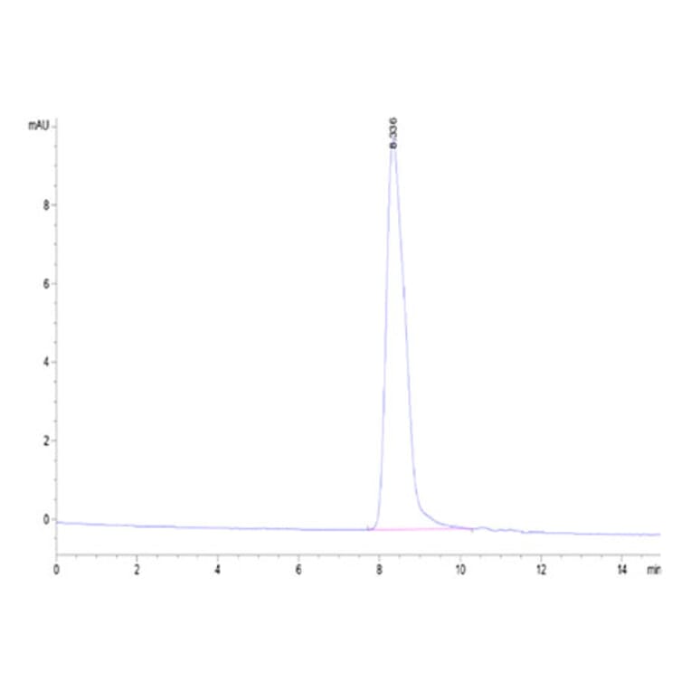 SEC-HPLC - Recombinant Human 5T4 Protein (Biotin) (C-terminal His and Avi Tag) (A330059) - Antibodies.com