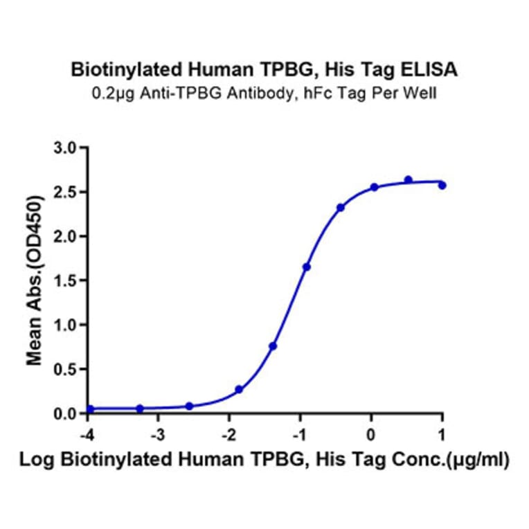 Standard Curve - Recombinant Human 5T4 Protein (Biotin) (C-terminal His and Avi Tag) (A330059) - Antibodies.com