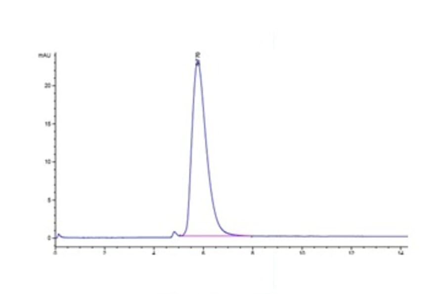 SEC-HPLC - Recombinant Cynomolgus macaque ACE2 Protein (Biotin) (C-terminal His and Avi Tag) (A330065) - Antibodies.com