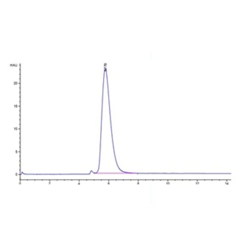 SEC-HPLC - Recombinant Cynomolgus macaque ACE2 Protein (Biotin) (C-terminal His and Avi Tag) (A330065) - Antibodies.com