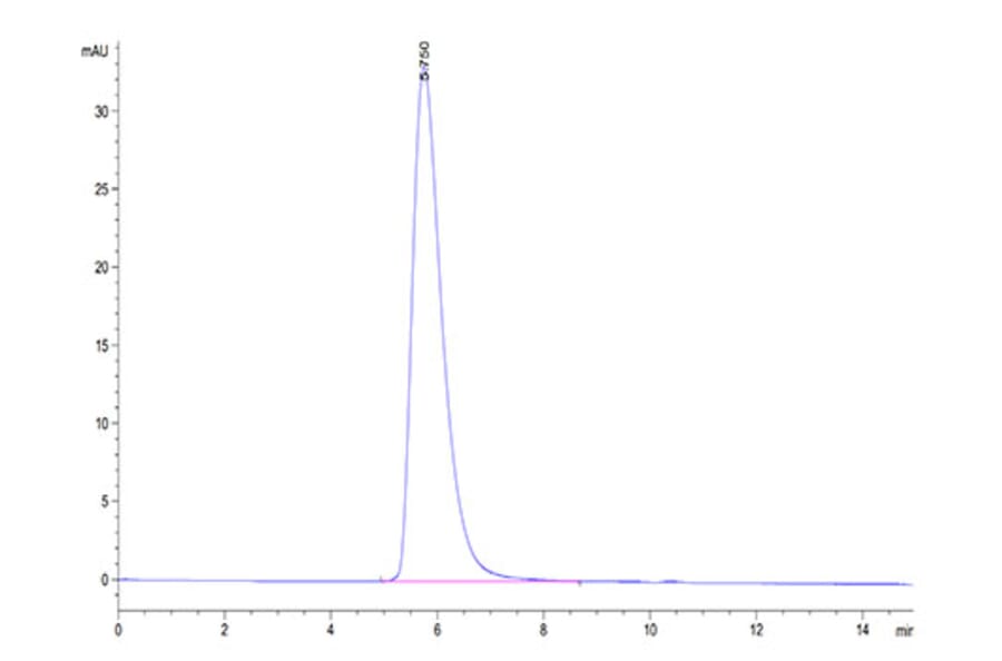 SEC-HPLC - Recombinant Cynomolgus macaque ACE2 Protein (C-terminal His and Avi Tag) (A330066) - Antibodies.com