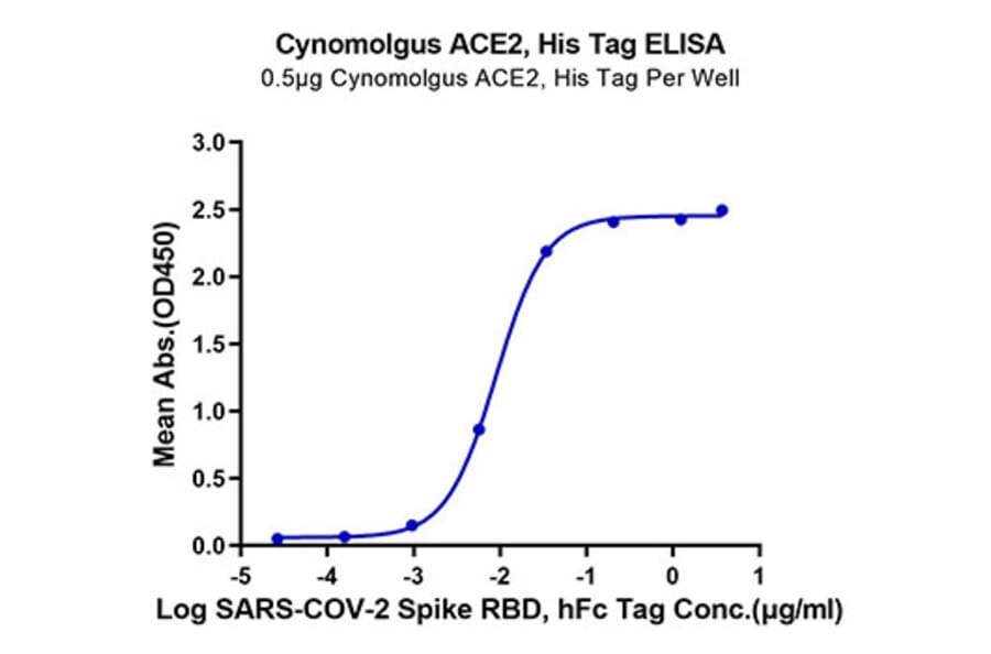 Standard Curve - Recombinant Cynomolgus macaque ACE2 Protein (C-terminal His and Avi Tag) (A330066) - Antibodies.com