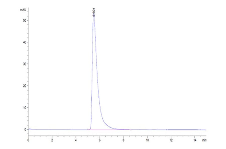 SEC-HPLC - Recombinant Human ACE2 Protein (C-terminal His and Avi Tag) (A330067) - Antibodies.com