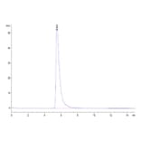 SEC-HPLC - Recombinant Human ACE2 Protein (C-terminal His and Avi Tag) (A330067) - Antibodies.com