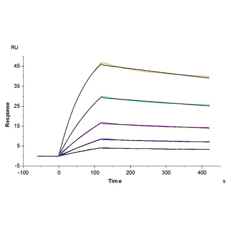 SPR Assay - Recombinant Human ACE2 Protein (C-terminal His and Avi Tag) (A330067) - Antibodies.com