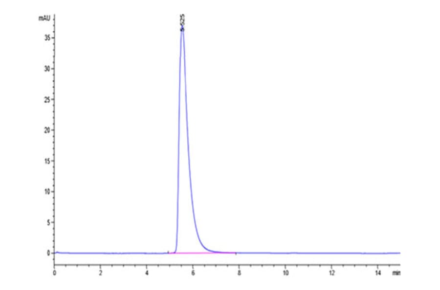 SEC-HPLC - Recombinant Human ACE2 Protein (Biotin) (C-terminal His and Avi Tag) (A330070) - Antibodies.com