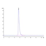 SEC-HPLC - Recombinant Human ACE2 Protein (Biotin) (C-terminal His and Avi Tag) (A330070) - Antibodies.com