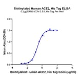 Standard Curve - Recombinant Human ACE2 Protein (Biotin) (C-terminal His and Avi Tag) (A330070) - Antibodies.com