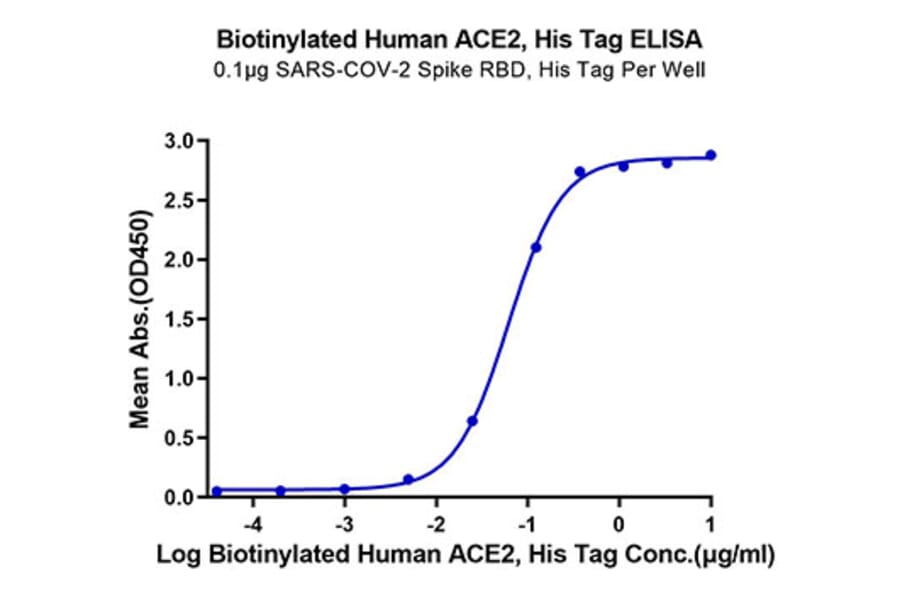Standard Curve - Recombinant Human ACE2 Protein (Biotin) (C-terminal His and Avi Tag) (A330070) - Antibodies.com