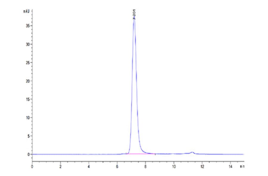 SEC-HPLC - Recombinant Human Albumin Protein (Biotin) (C-terminal His and Avi Tag) (A330082) - Antibodies.com