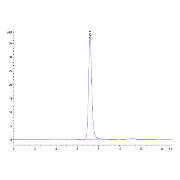 SEC-HPLC - Recombinant Human Albumin Protein (Biotin) (C-terminal His and Avi Tag) (A330082) - Antibodies.com