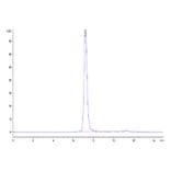 SEC-HPLC - Recombinant Human Albumin Protein (Biotin) (C-terminal His and Avi Tag) (A330082) - Antibodies.com