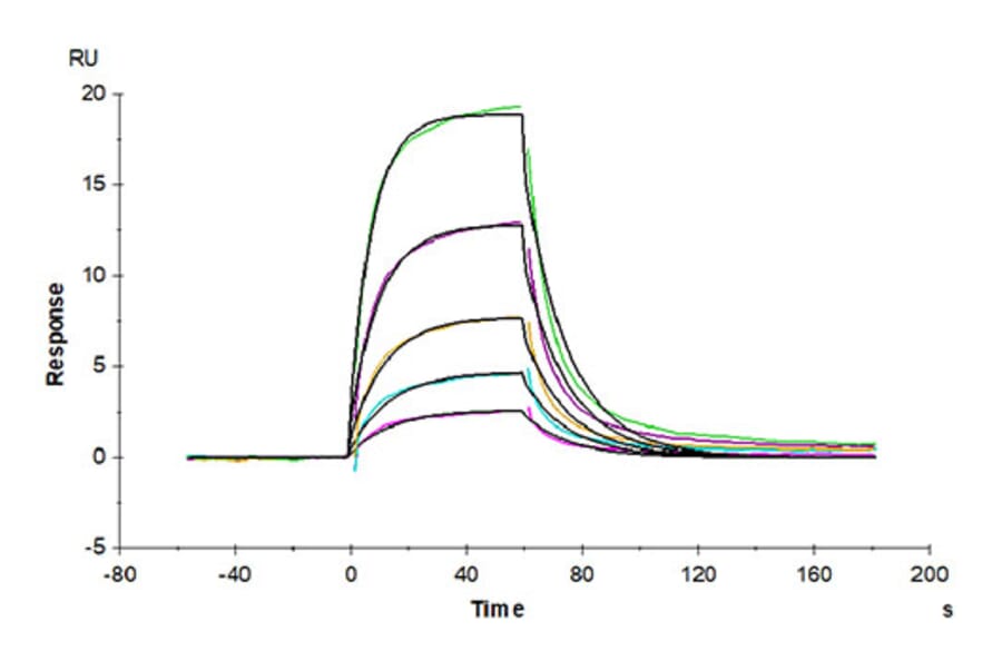 SPR Assay - Recombinant Human Albumin Protein (Biotin) (C-terminal His and Avi Tag) (A330082) - Antibodies.com