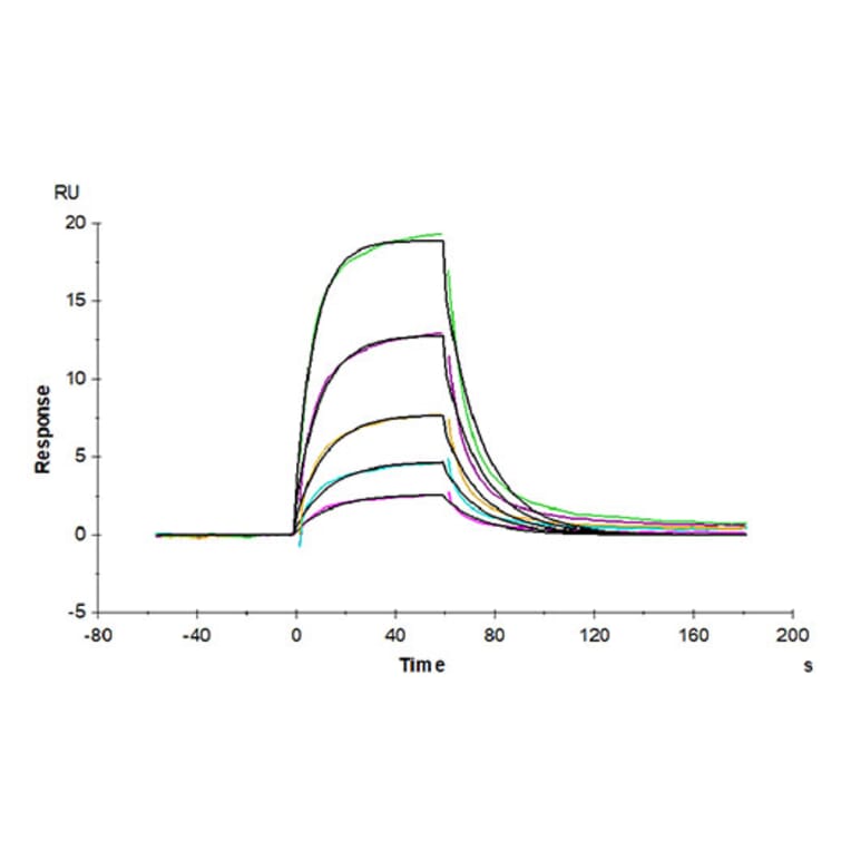 SPR Assay - Recombinant Human Albumin Protein (Biotin) (C-terminal His and Avi Tag) (A330082) - Antibodies.com