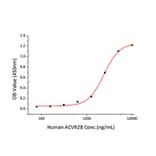 Standard Curve - Recombinant Human ALK-1 Protein (C-terminal His Tag) (A330084) - Antibodies.com
