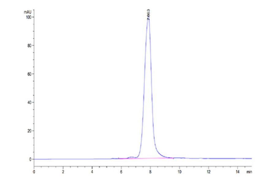 SEC-HPLC - Recombinant Human ANGPTL2 Protein (Biotin) (C-terminal His and Avi Tag) (A330101) - Antibodies.com