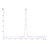 SEC-HPLC - Recombinant Human ANGPTL2 Protein (Biotin) (C-terminal His and Avi Tag) (A330101) - Antibodies.com