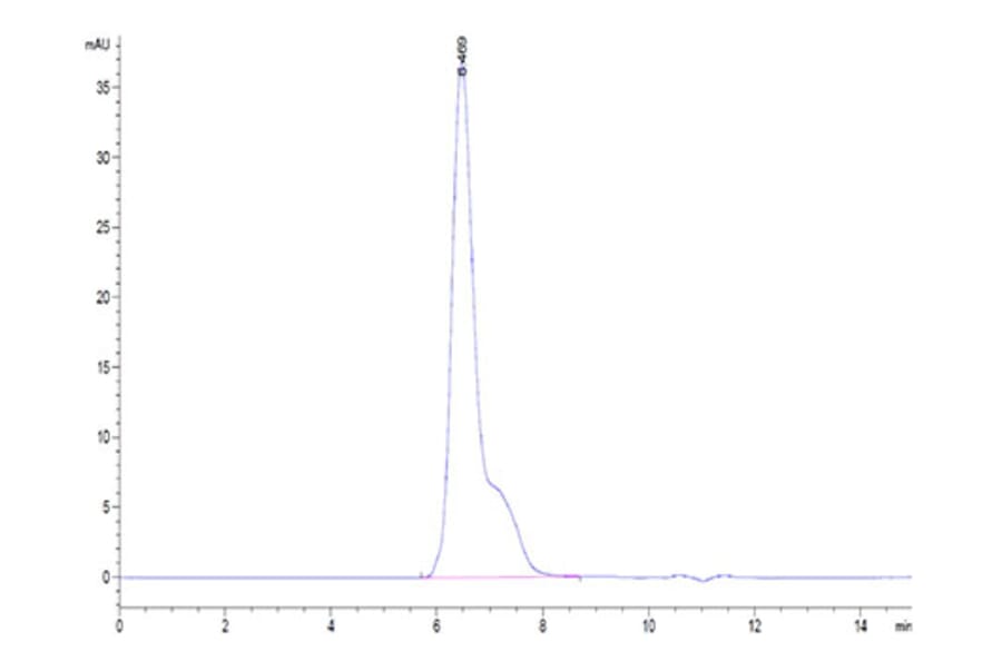 SEC-HPLC - Recombinant Human B7-H2 Protein (Biotin) (C-terminal His and Avi Tag) (A330128) - Antibodies.com