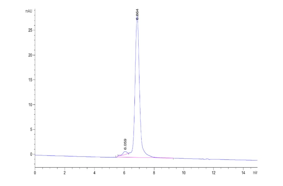 SEC-HPLC - Recombinant Human B7-H3 Protein (FITC) (C-terminal Human Fc Tag) (A330132) - Antibodies.com