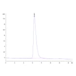 SEC-HPLC - Recombinant Human B7-H3 Protein (C-terminal His and Avi Tag) (A330133) - Antibodies.com