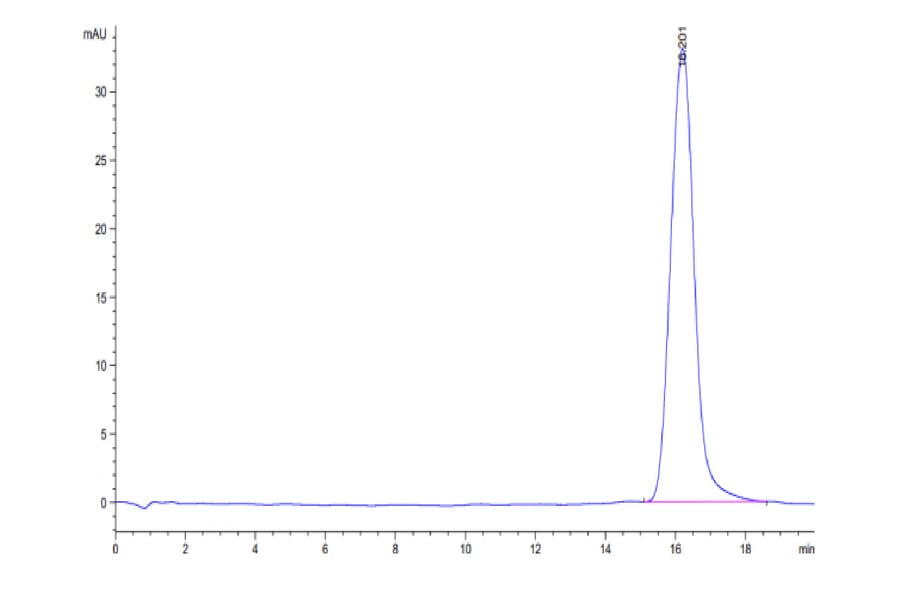 SEC-HPLC - Recombinant Human B7-H3 Protein (Biotin) (C-terminal His and Avi Tag) (A330137) - Antibodies.com