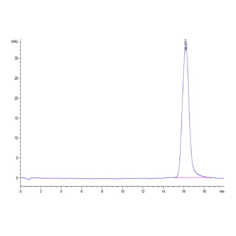 SEC-HPLC - Recombinant Human B7-H3 Protein (Biotin) (C-terminal His and Avi Tag) (A330137) - Antibodies.com