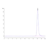 SEC-HPLC - Recombinant Human B7-H3 Protein (Biotin) (C-terminal His and Avi Tag) (A330137) - Antibodies.com