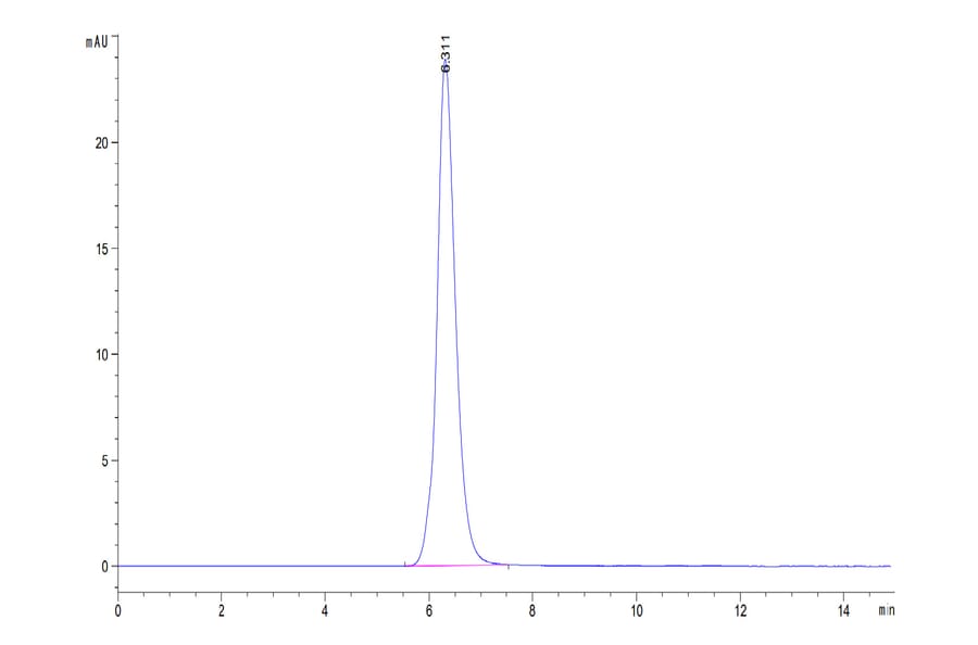 SEC-HPLC - Recombinant Human B7-H3 Protein (C-terminal Human Fc Tag) (A330138) - Antibodies.com